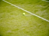 coppafuntennis2010-624